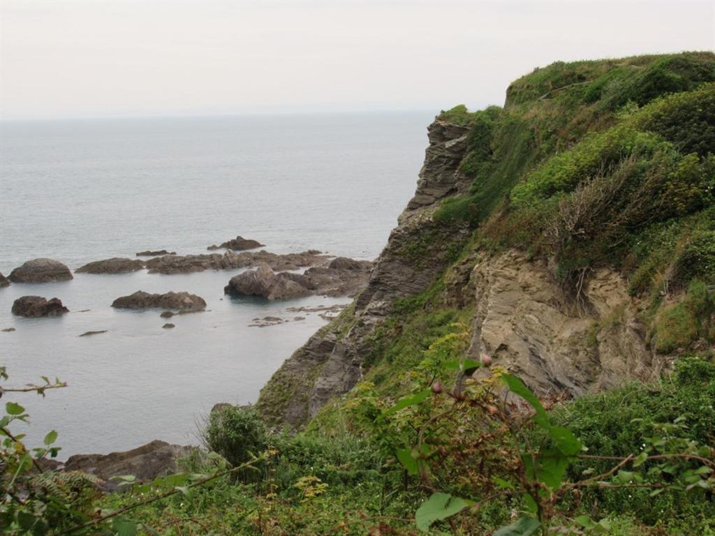 Avoncourt Lodge Ilfracombe Esterno foto